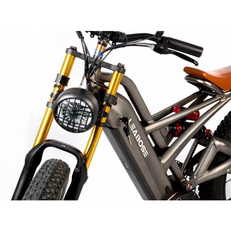 STLF Best Value  Ebike 48v 100 - đánh giá và giá Mountain Biking Near Me